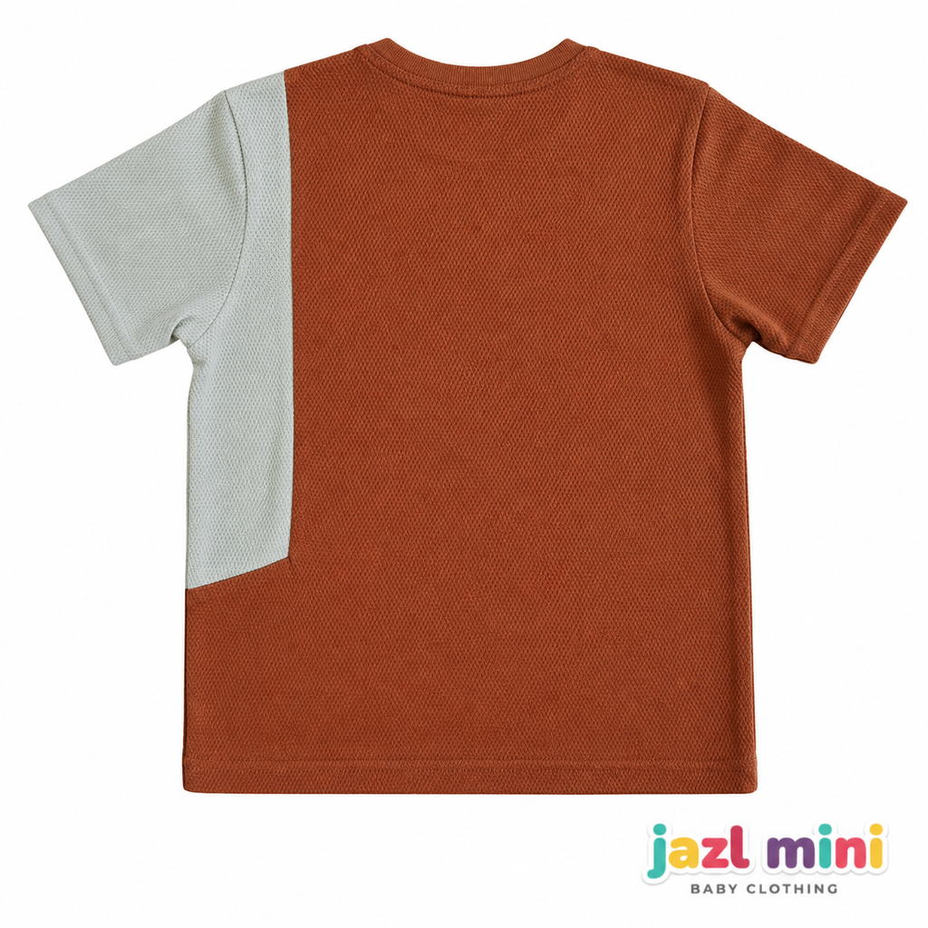 Kid's Colour Block Brown T-Shirt
